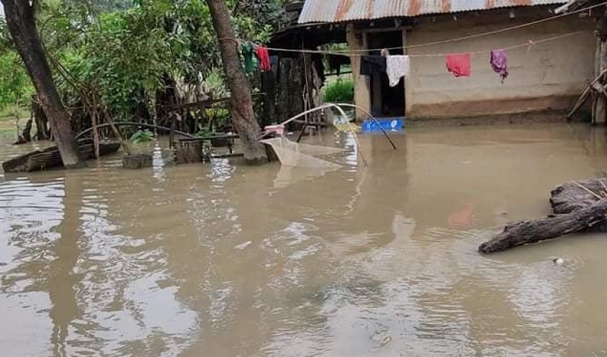 वर्षाले घर डुबान हुँदा वादी समुदाय बिचल्लीमा